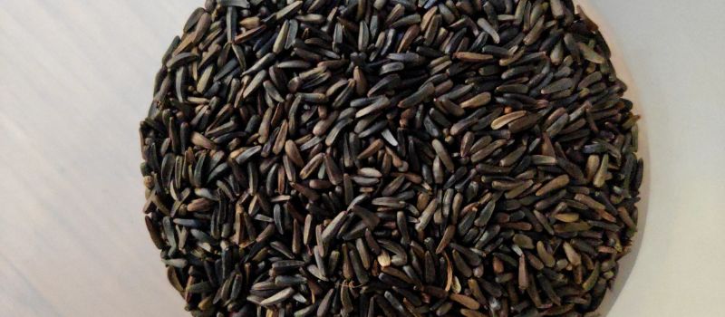 a photo of niger seed